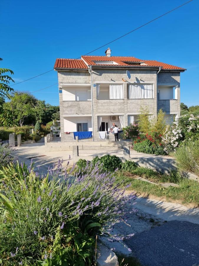 Apartment Zekic *